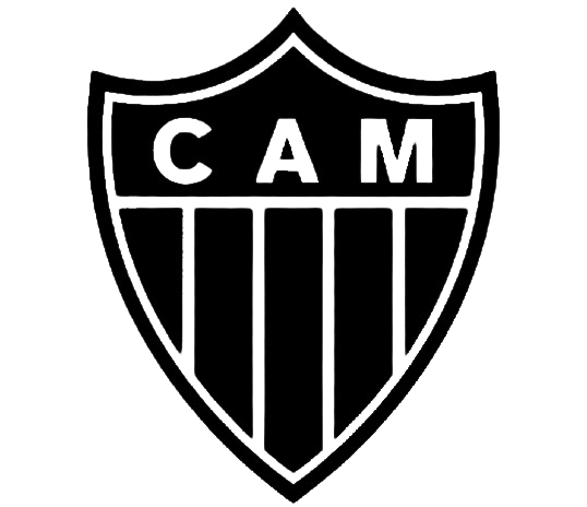 Logo de MINEYRO